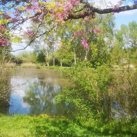 Cosy Chez Isabelle * Royan
