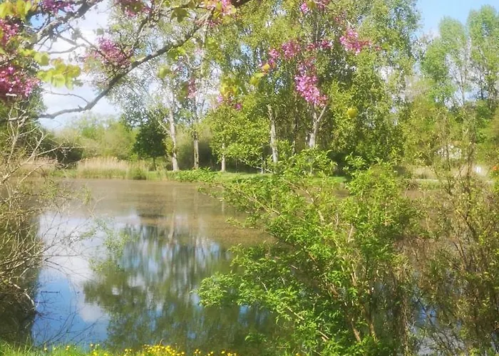 Cosy Chez Isabelle * Royan